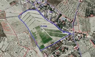 Parcela Agrícola en explotación photo 0