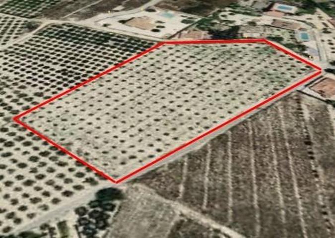 ¡Oportunidad única! Parcela rústica de 12.157 m² en El Rebolledo, Alicante photo 0
