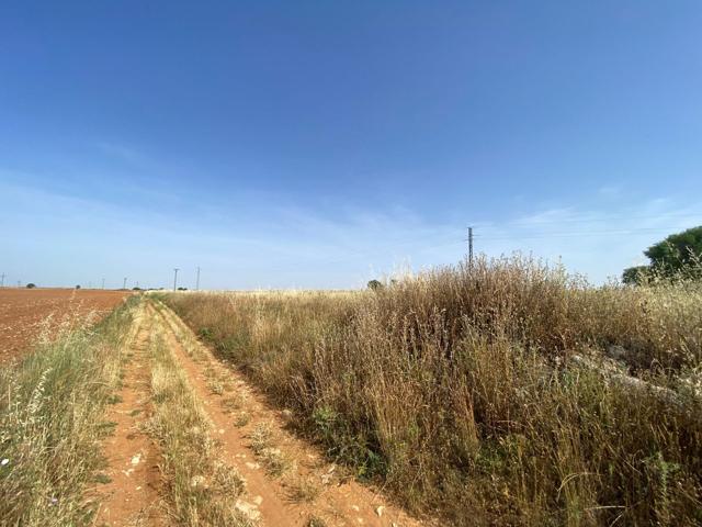 Parcela rústica con acceso directo por camino🌿 photo 0
