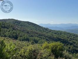 Finca rústica de secano en Termino de l'Alcora grande en zona Mas de Marco o Cruz de Torremundo photo 0