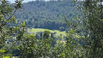 HAZ REALIDAD TU SUEÑO Exclusiva Parcela con Vistas al Campo de Golf en Urb. La Coma de Borriol photo 0