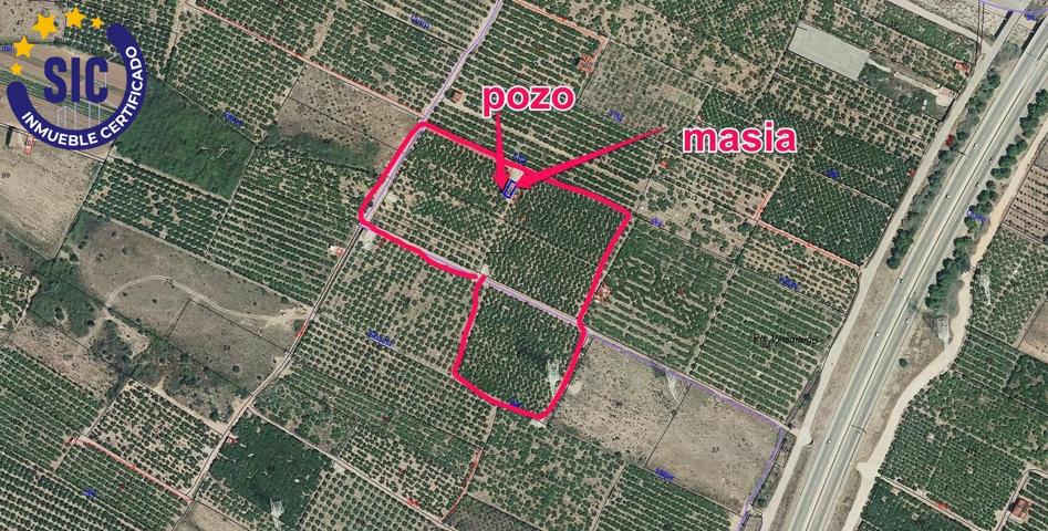 FINCAS RÚSTICA 24 HANEGADAS DE CLEMENTINA EN PRODUCCIÓN CON MASIA Y POZO MUY CERCA DE LA CIUDAD photo 0