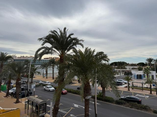 PISO EN ALQUILER 3 HABITACIONES photo 0