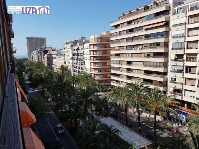 GRAN OCASION EN EL CENTRO DE ALICANTE photo 0
