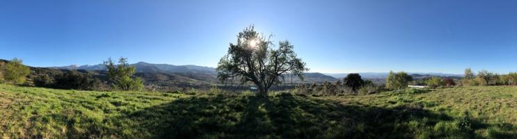 Inigualable parcela en Lombillo 🌳🏡 photo 0