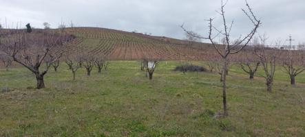 Finca rustica en Toral de Merayo, Ponferrada photo 0