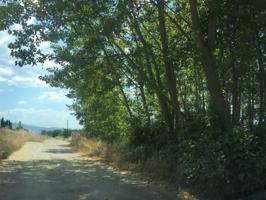 VENTA: Finca Rustica N-120 photo 0