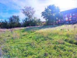 SUELO URBANIZABLE RESIDENCIAL EN  SAN ANDRES DEL RABANEDO photo 0