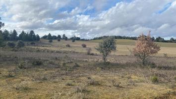 SUELO URBANO RESDIENCIAL EN VALDEFRESNO ( PROINDIVISO) - PRECIO A CONSULTAR photo 0