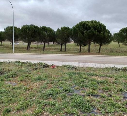 SUELO URBANIZABLE RESIDENCIAL EN LEON photo 0