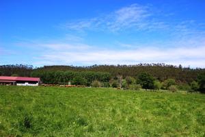 Terreno Urbanizable En venta en Villanueva De La Peña, Mazcuerras photo 0