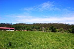 Otro En venta en Villanueva De La Peña, Mazcuerras photo 0