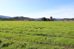 FINCA PARA CONSTRUIR UNA CASA photo 0