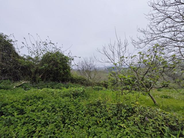 FINCA URBANA EN LAMADRID photo 0