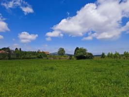 FINCA URBANA EN MAZCUERRAS photo 0