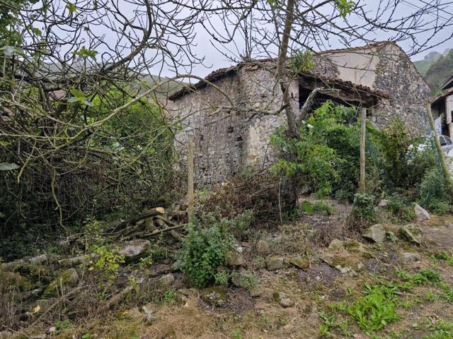 CASA PARA REFORMAR EN PECHÓN photo 0