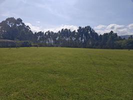 FINCA URBANA EN PIMIANGO photo 0