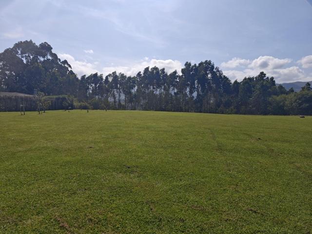 FINCA URBANA EN PIMIANGO photo 0