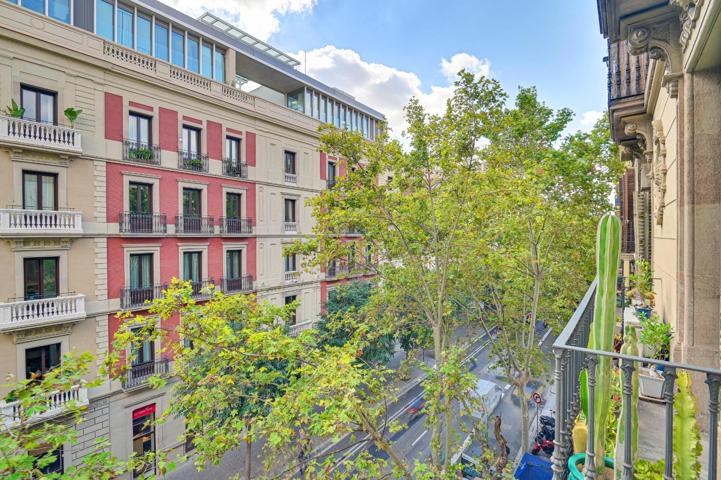 Vivienda en finca clásica junto Paseo de Gracia photo 0