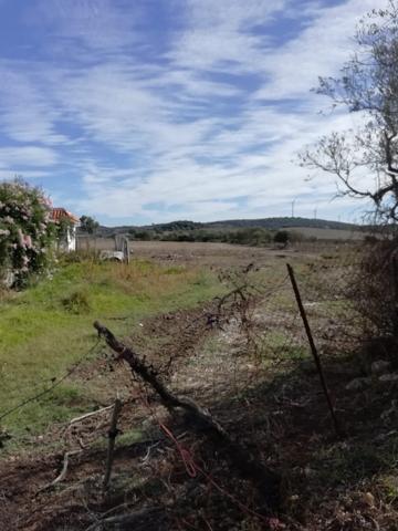 PARCELA RÚSTICA DE 6.000 METROS EN LAS INMEDIACIONES DE VEJER photo 0