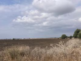 PARCELA RÚSTICA EN LA CARRETERA VEJER- EL PALMAR photo 0