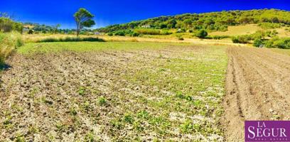 Estupendo terreno en San Ambrosio photo 0