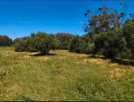 CORTIJO ANDALUZ EN BARBATE photo 0