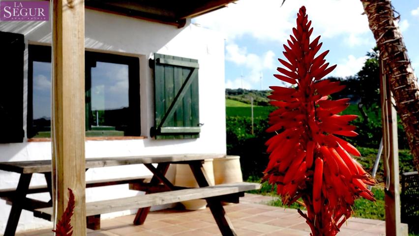 MAGNIFICA FINCA CON CUATRO VIVIENDAS EN VEJER DE LA FRONTERA photo 0