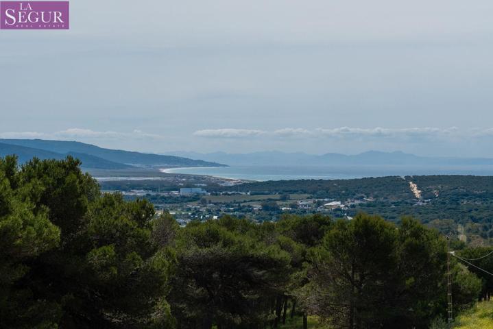 FINCA RUSTICA CON VARIAS CASAS Y NAVE. photo 0