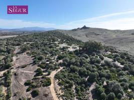 TERRENO AGRICOLA EN ZONA DE ALBUREJOS - MEDINA SIDONIA photo 0