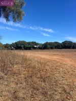 TERRENO JUNTO AL CAMPO DE GOLF DE MONTEENMEDIO photo 0