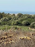 Parcela en Patria photo 0