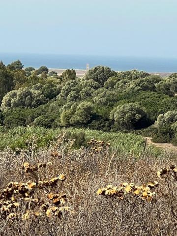 Parcela en Patria photo 0