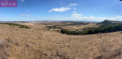 PARCELA EN VENTA EN LA ZONA DE PATRIA photo 0