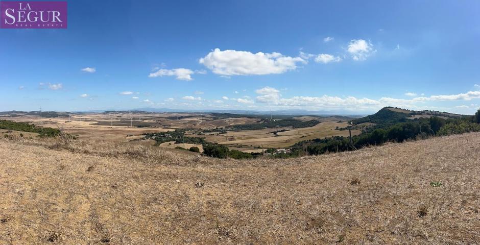 TERRENO EN VENTA EN LA ZONA DE PATRIA photo 0