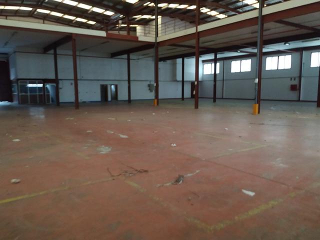 2.227 M2 - ELCHE PARQUE EMPRESARIAL photo 0