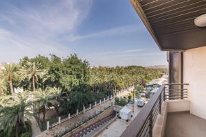 CENTRO - VISTA DEL PALMERAL DE ELCHE photo 0