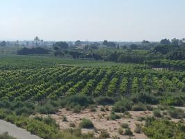 LLANO SAN JOSE - RUSTICA EDIFICABLE DE 16.000 M2 photo 0