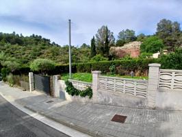 🌿 Tu proyecto empieza aquí. photo 0