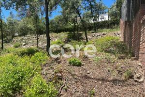 Las mejores parcelas de Sant Feliu del Racó photo 0