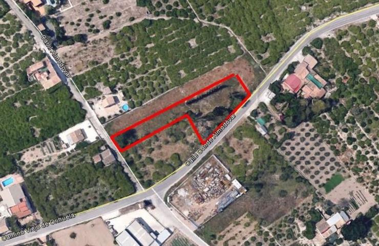 PARCELA URBANA 1750 M2 'Hazte tu casa a 10 Minutos de Murcia' PROYECTO Y LICENCIAS. photo 0