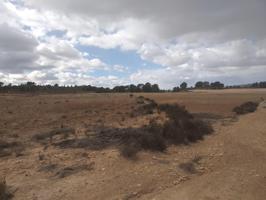 Dos parcela urbanizable en paraje Chamaneta con posibilidad de construir photo 0