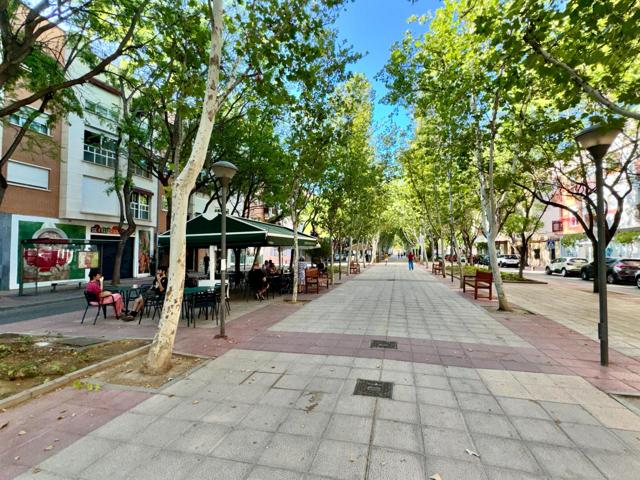 DUQUES DE LUGO - EN LA AVENIDA MAS COMERCIAL DE EL RANERO photo 0