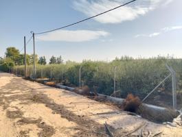 TERRENO 2.000 m2. photo 0
