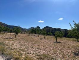 Terreno urbano de 3200 m2 en Barinas photo 0