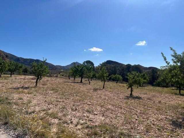 Terreno urbano de 3200 m2 en Barinas photo 0