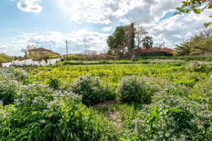 Finca rustica en Guadalupe photo 0
