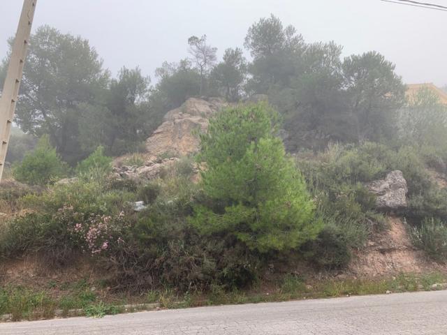 Terreno Urbanizable En venta en Les Garrigues, La Pobla De Claramunt photo 0