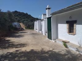 SE VENDE FINCA RUSTICA CON VIVIENDAS CERCA DE OLVERA photo 0