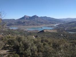 SE VENDE FINCA RUSTICA CON OLIVAR EN ZAHARA DE LA SIERRA photo 0